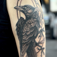 crow_tattoo.jpeg
