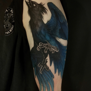 stellers_jay_tattoo.jpg