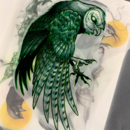 flash_barn_owl_tattoo.jpg
