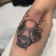 cat_skull_tattoo.JPG