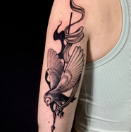 athena_owl_tattoo.jpg