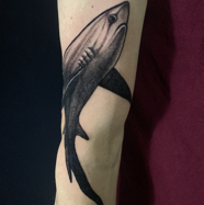 thresher_shark_tattoo.JPG